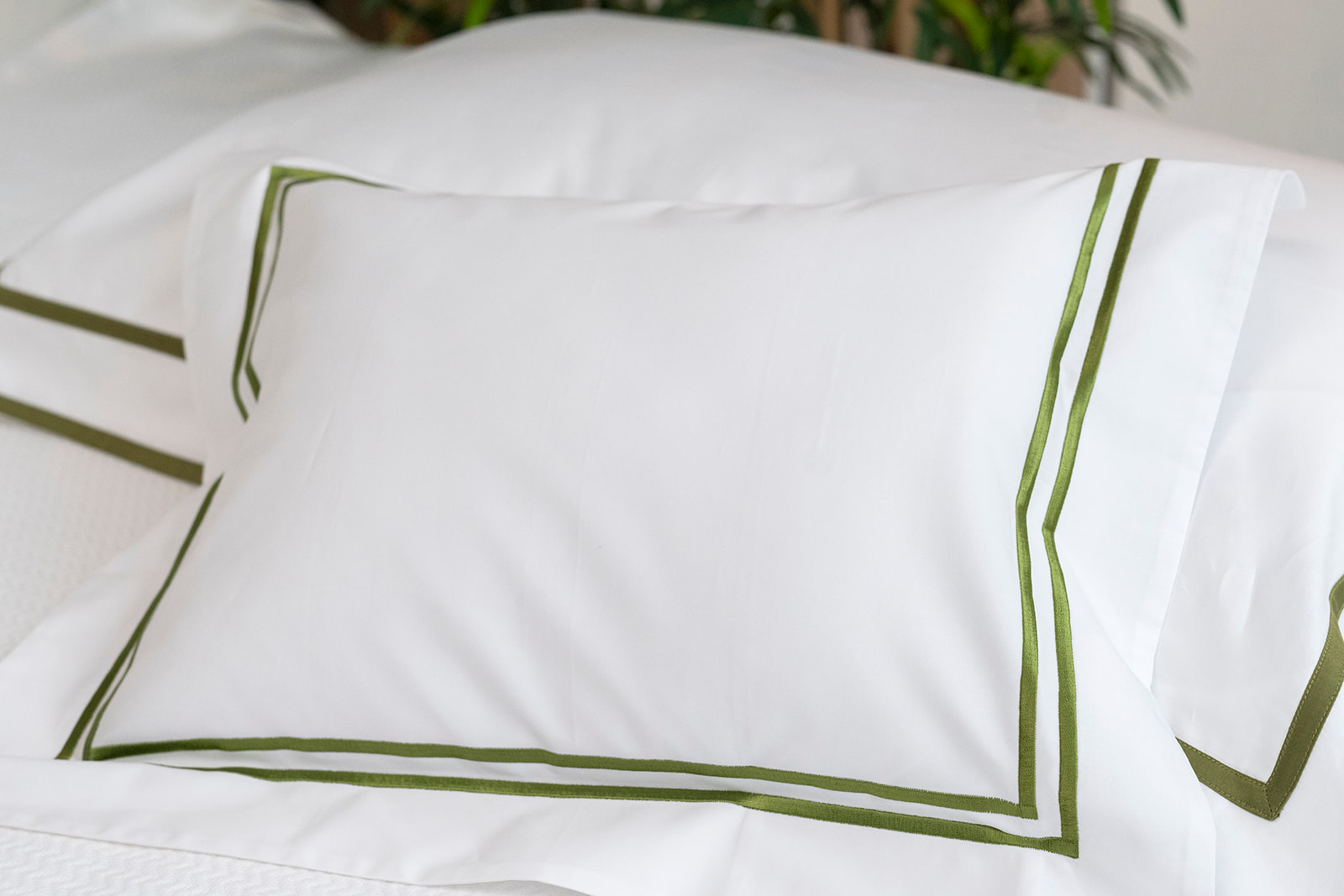 2 lineas green cotton sateen bedding set